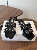 Rooted - Black